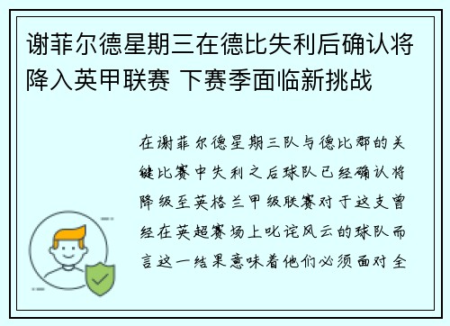 谢菲尔德星期三在德比失利后确认将降入英甲联赛 下赛季面临新挑战